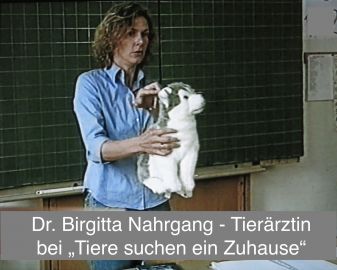Expertin für „Hundesprache für Kinder“ bei WDR Servicezeit - Tiere suchen ein Zuhause, 11.08.2002